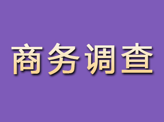 讷河商务调查